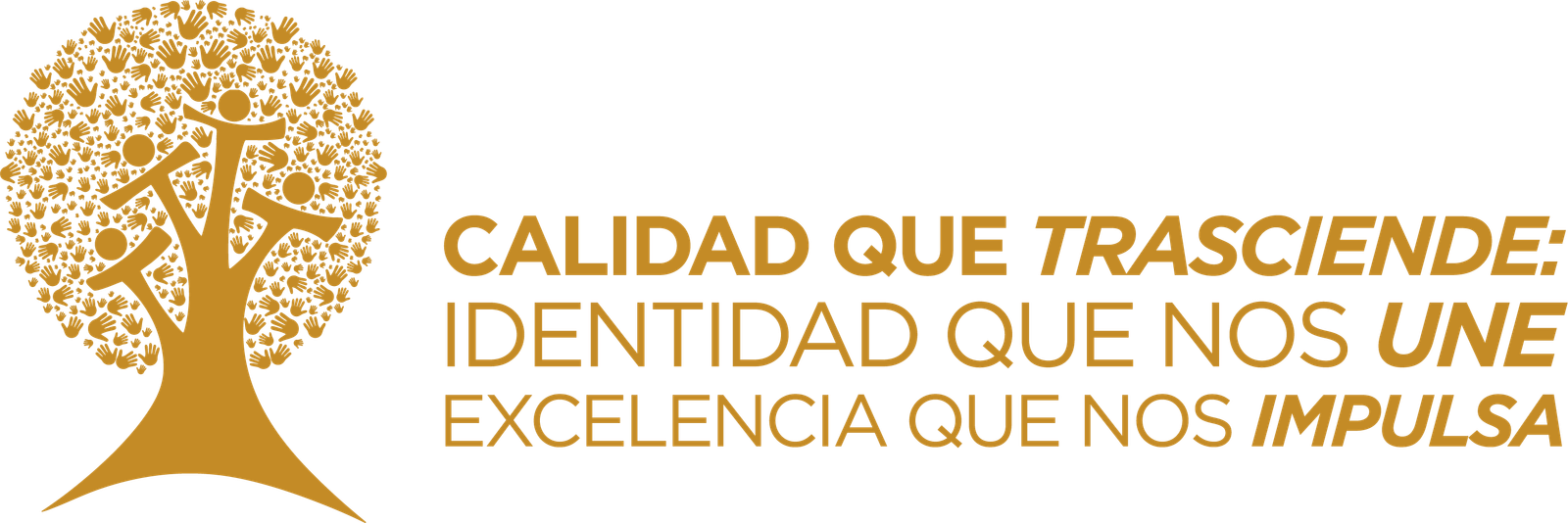 Juntos Transformamos