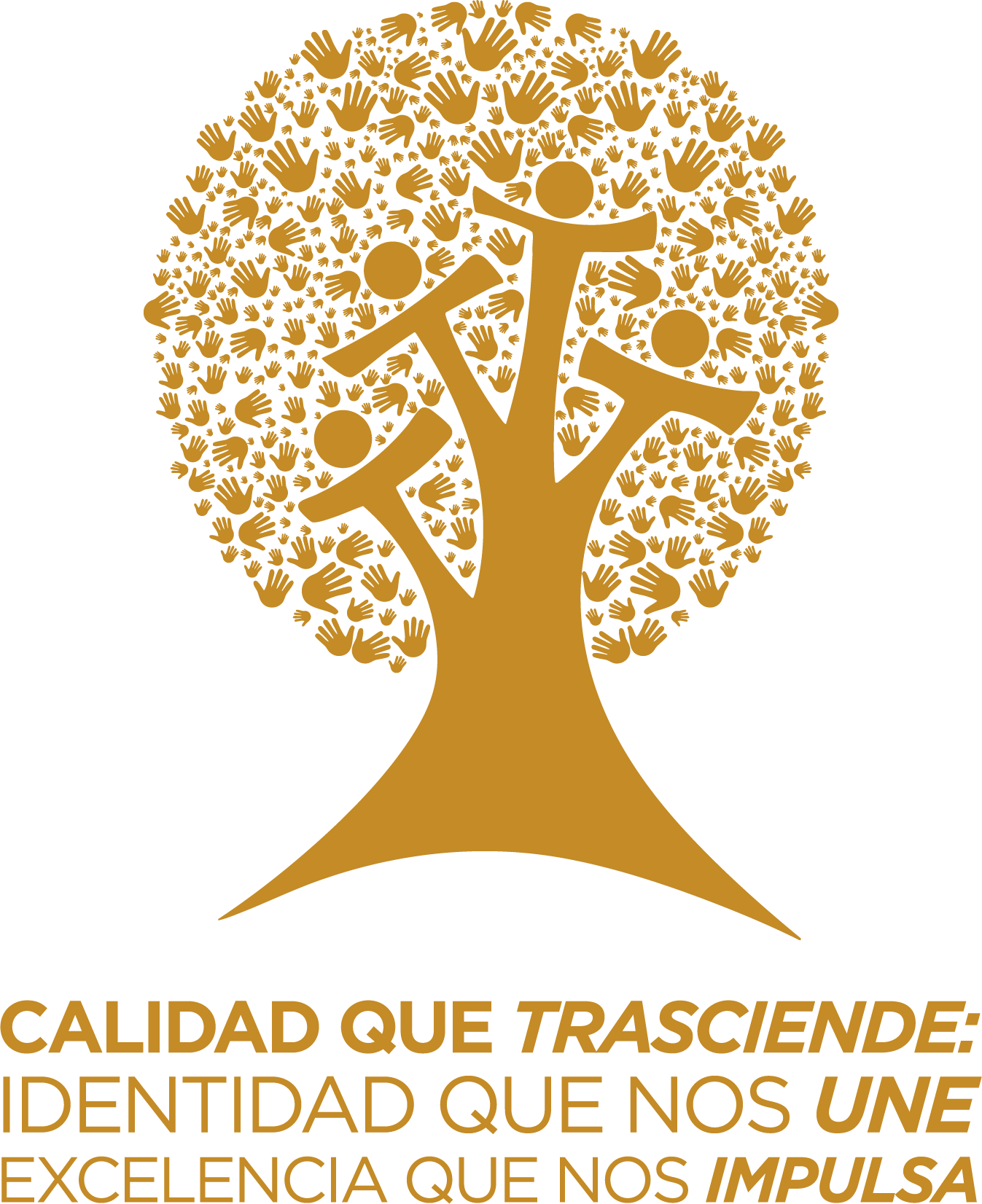 Juntos Transformamos